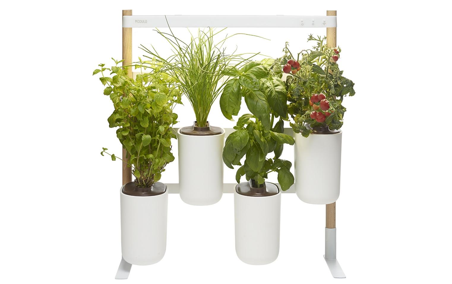 Kräutertopf Indoor Modulo 2 Weiss<br>Kräutergarten, klein und fein