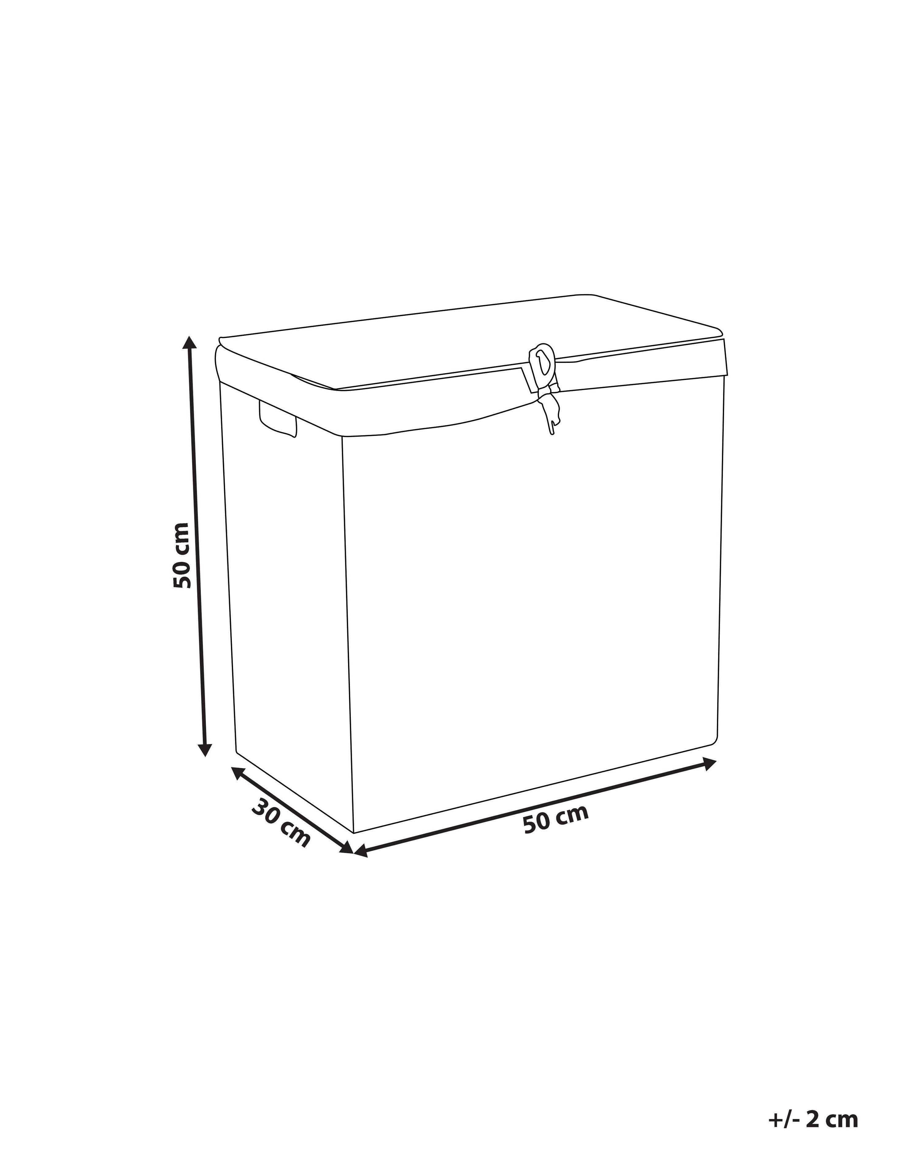 Mand LANGSON Wicker Natuurlijk 75 L
