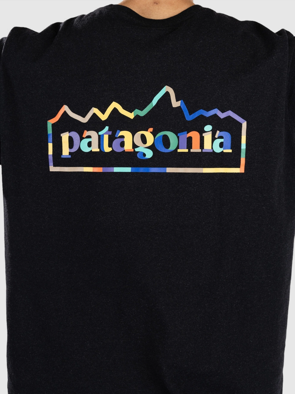 Patagonia Unity Fitz Responsibili T-Shirt ink black
