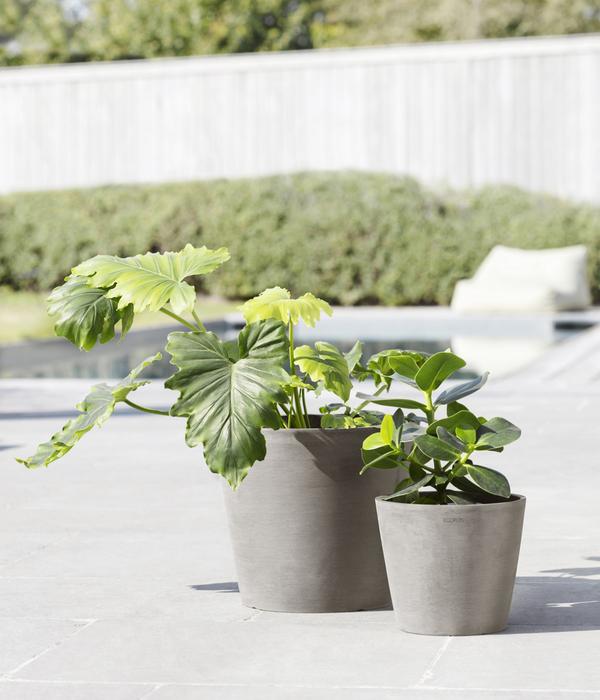 Ecopots Kunststoff-Topf Amsterdam mit