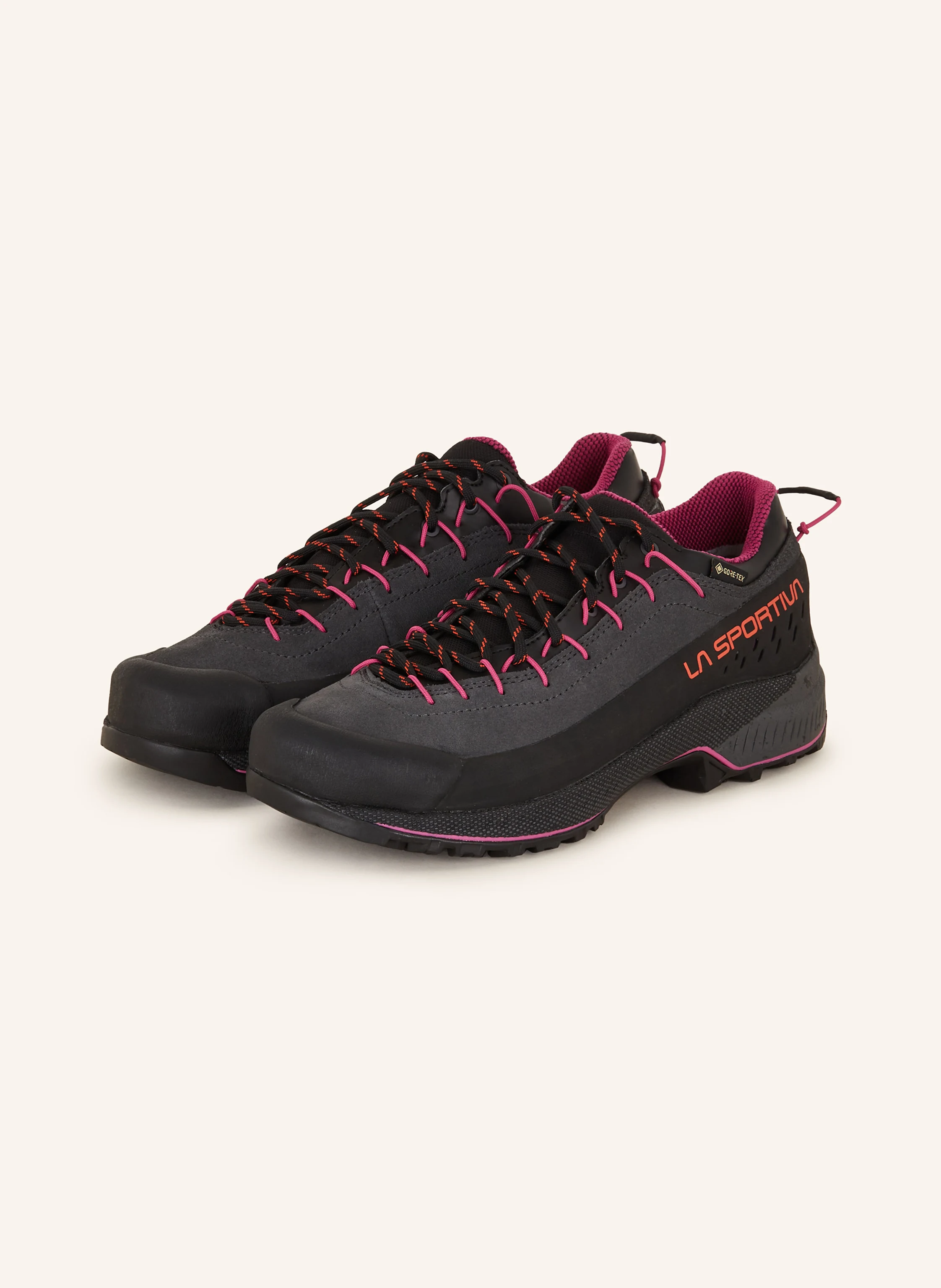 LA SPORTIVA Wanderschuhe TX4 EVO GTX