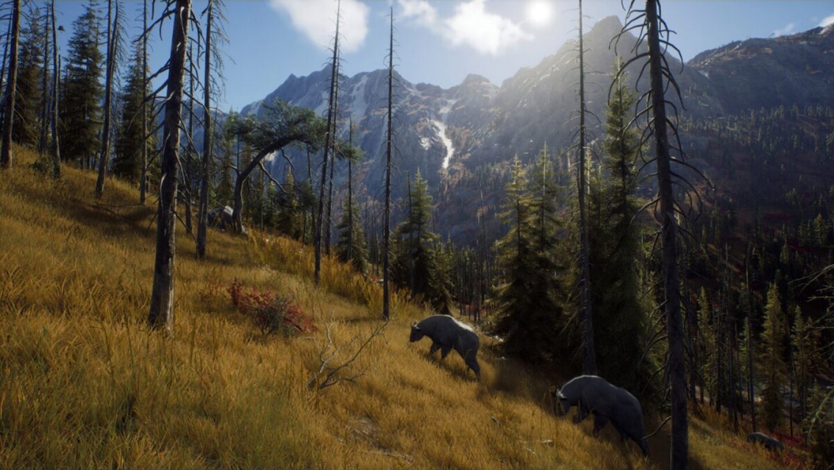 Way Of The Hunter - Xbox Series X