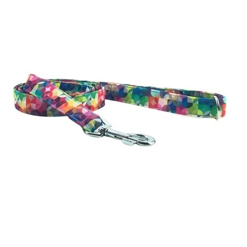 Coleira para cães Galguita Amelie Nickcolors multicolorida