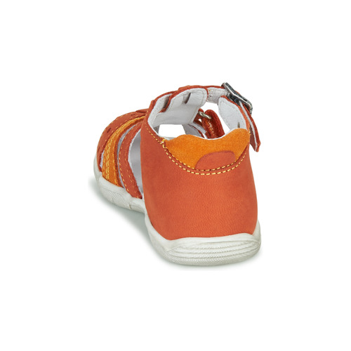 GBB - ARIGO - Orange