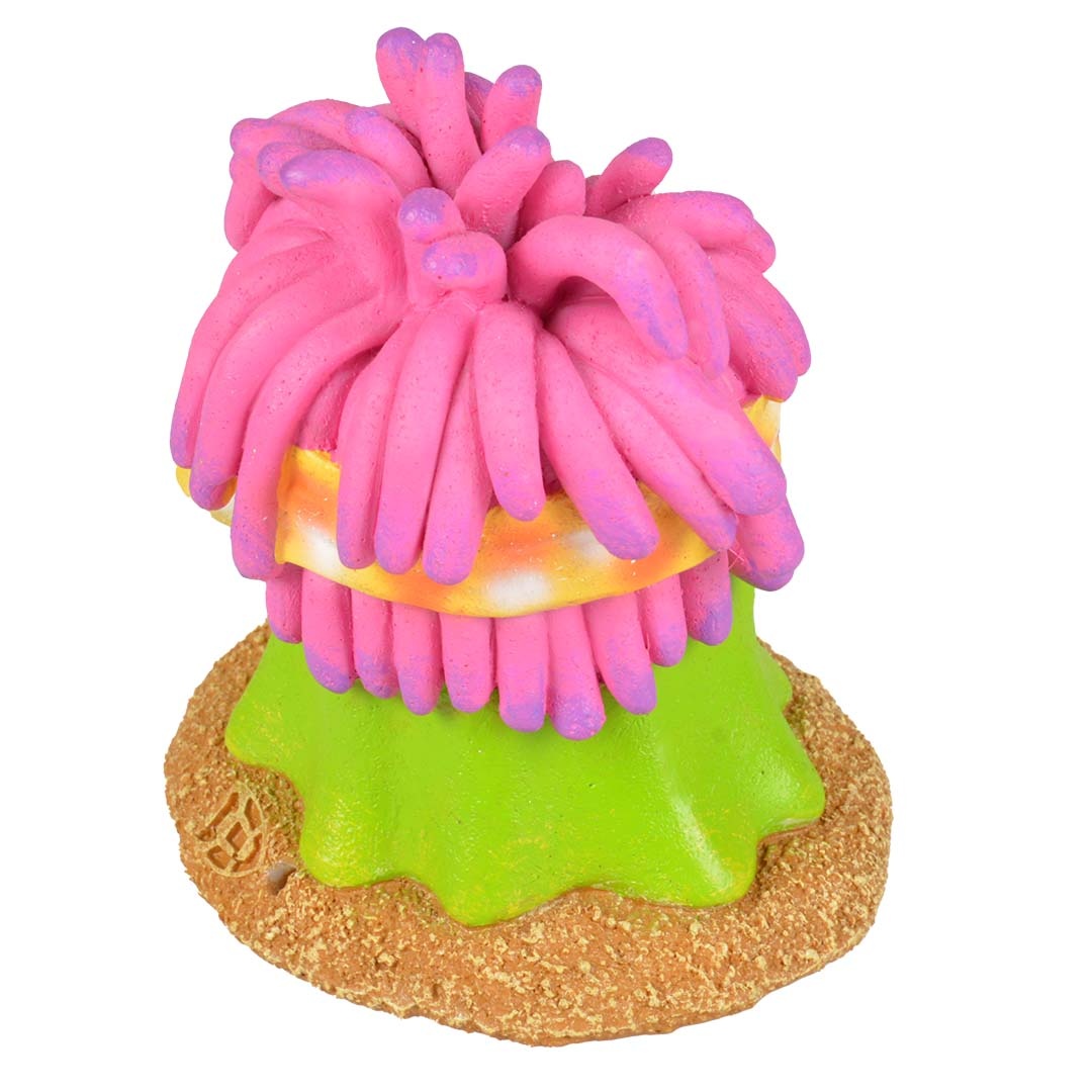 Aqua D'ella Hippie Anemoon