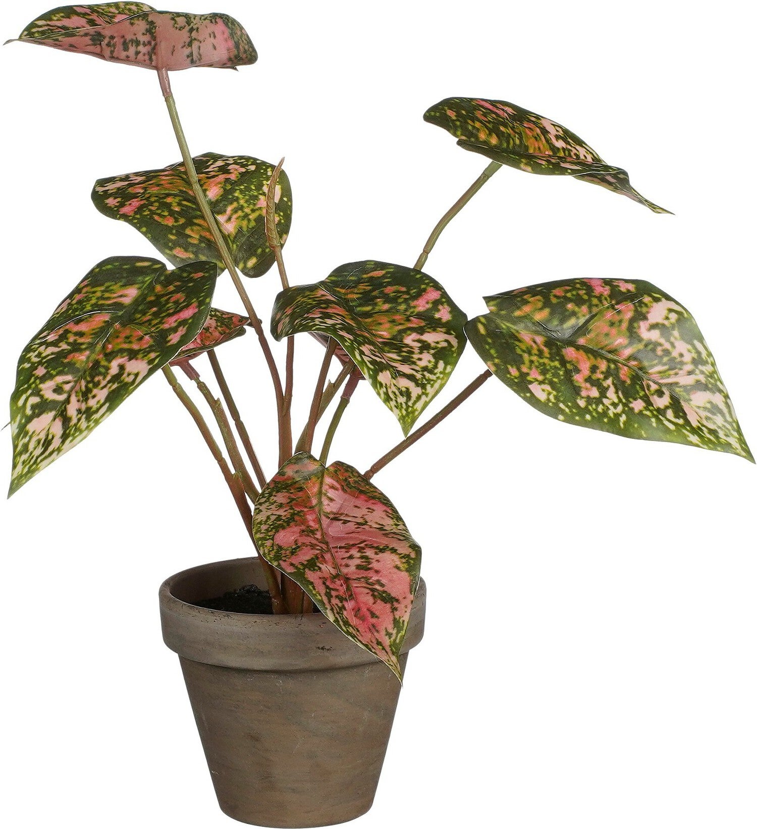 Mica Decorations kunstplant Caladium rood H 28 D 21 cm
