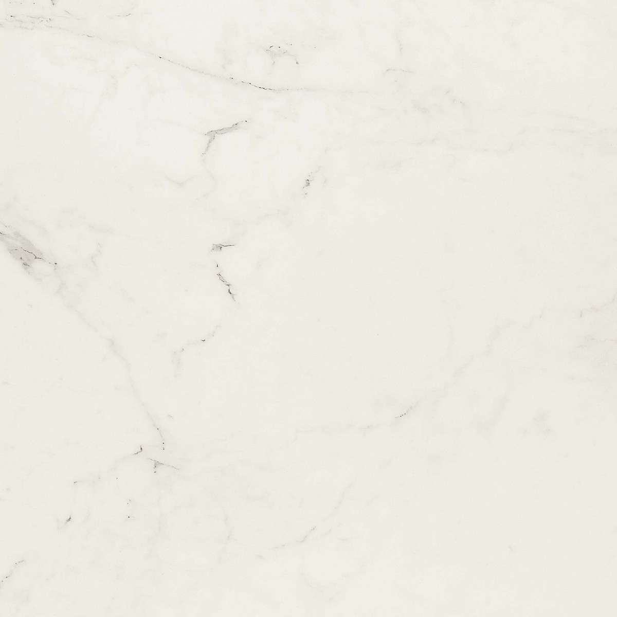 Navale Mármore vloertegel 60x60cm altissimo mat gerectificeerd