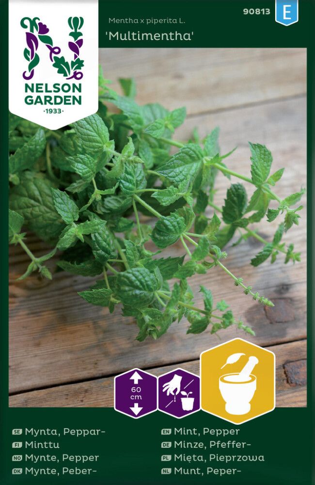 KRYDDERURTER NELSON GARDEN PEPPERMYNTE MULTIMENTHA