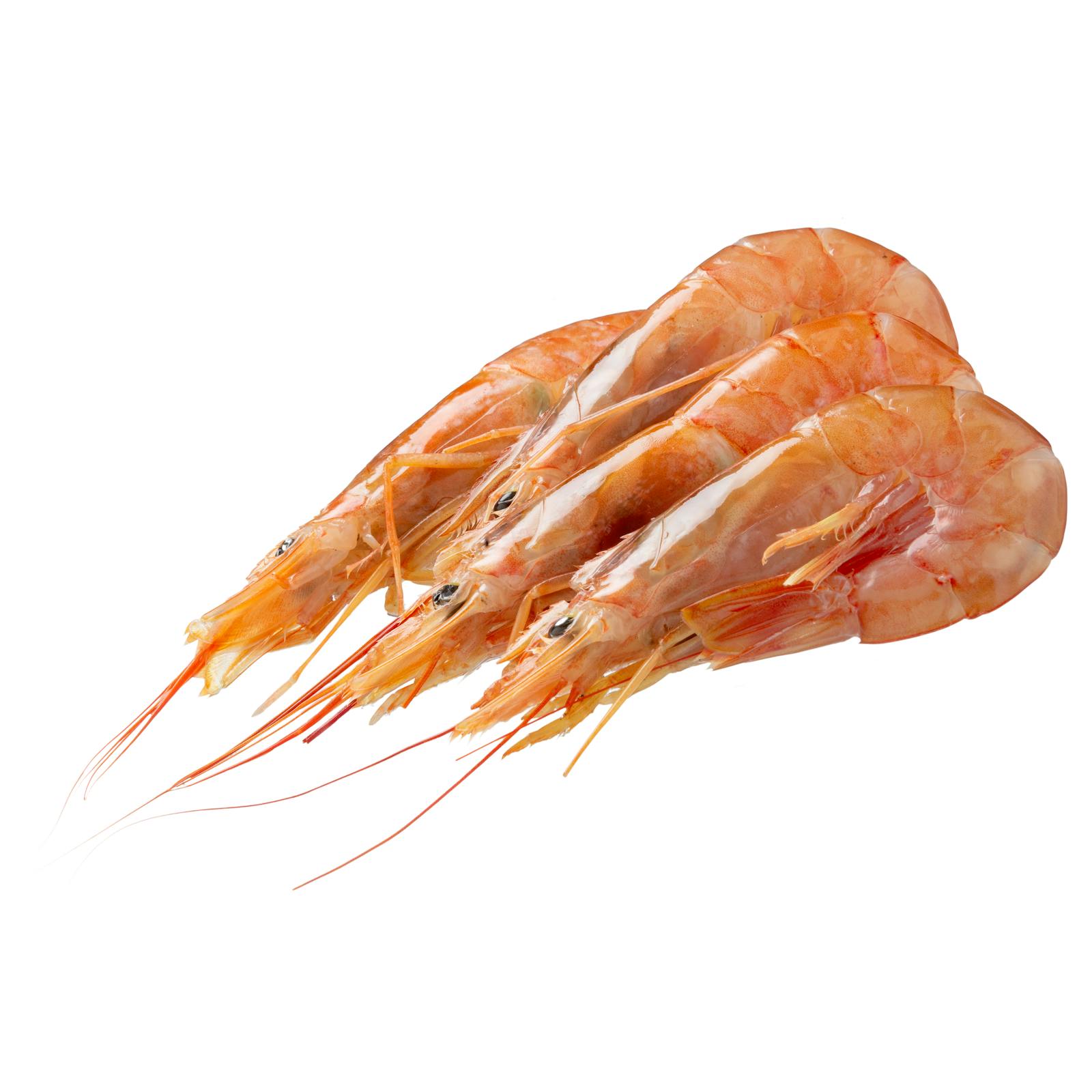 Crevettes congelées