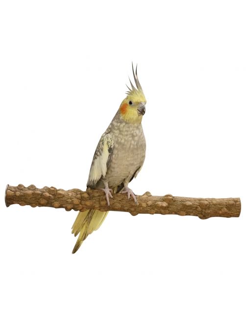 Homestyle Zitstok Pepperwood - Vogelspeelgoed - 20x2 cm Medium