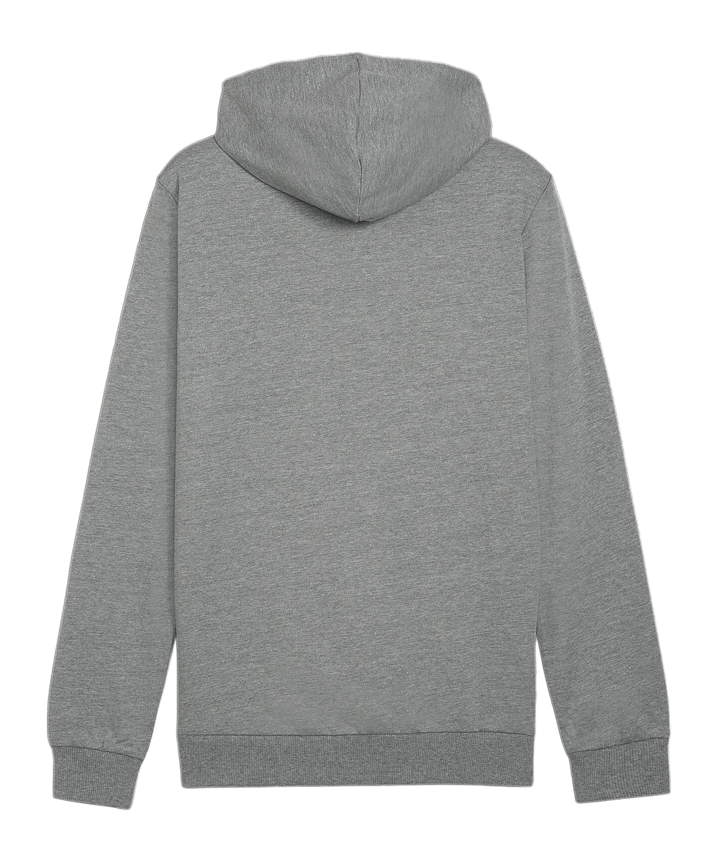PUMA teamGOAL Casuals Hoody Grau F33