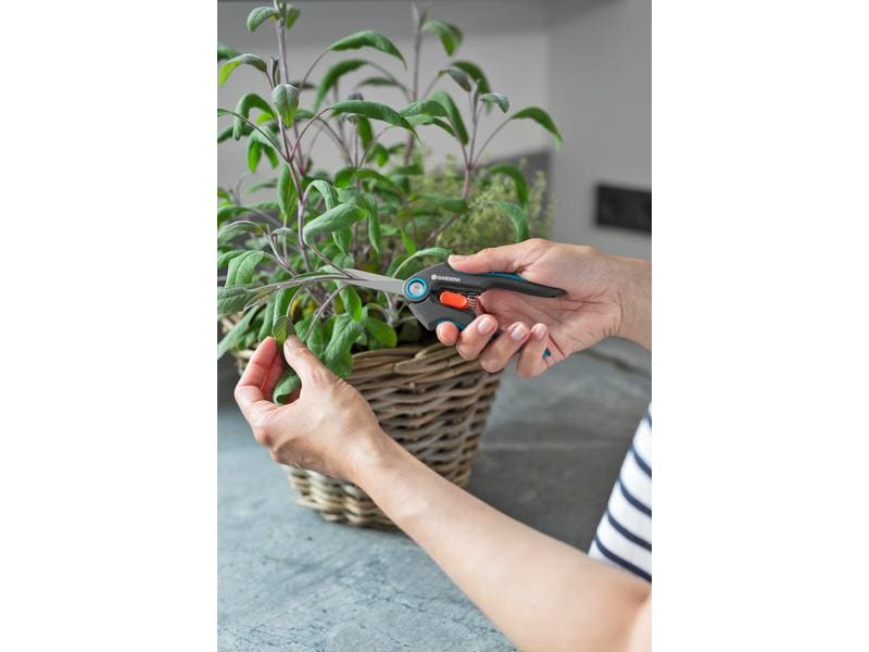 GARDENA Gartenschere FreshCut Zum Ernten von frischen Kräutern