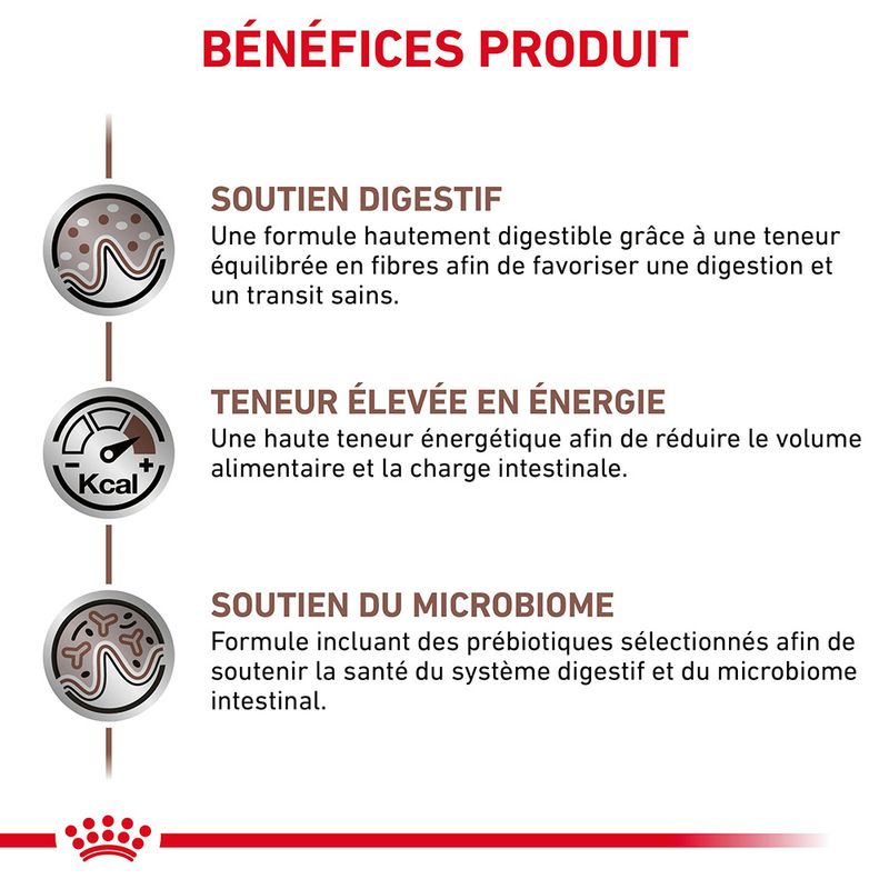 Royal Canin Veterinary - Gastro Intestinal sur bitiba.fr