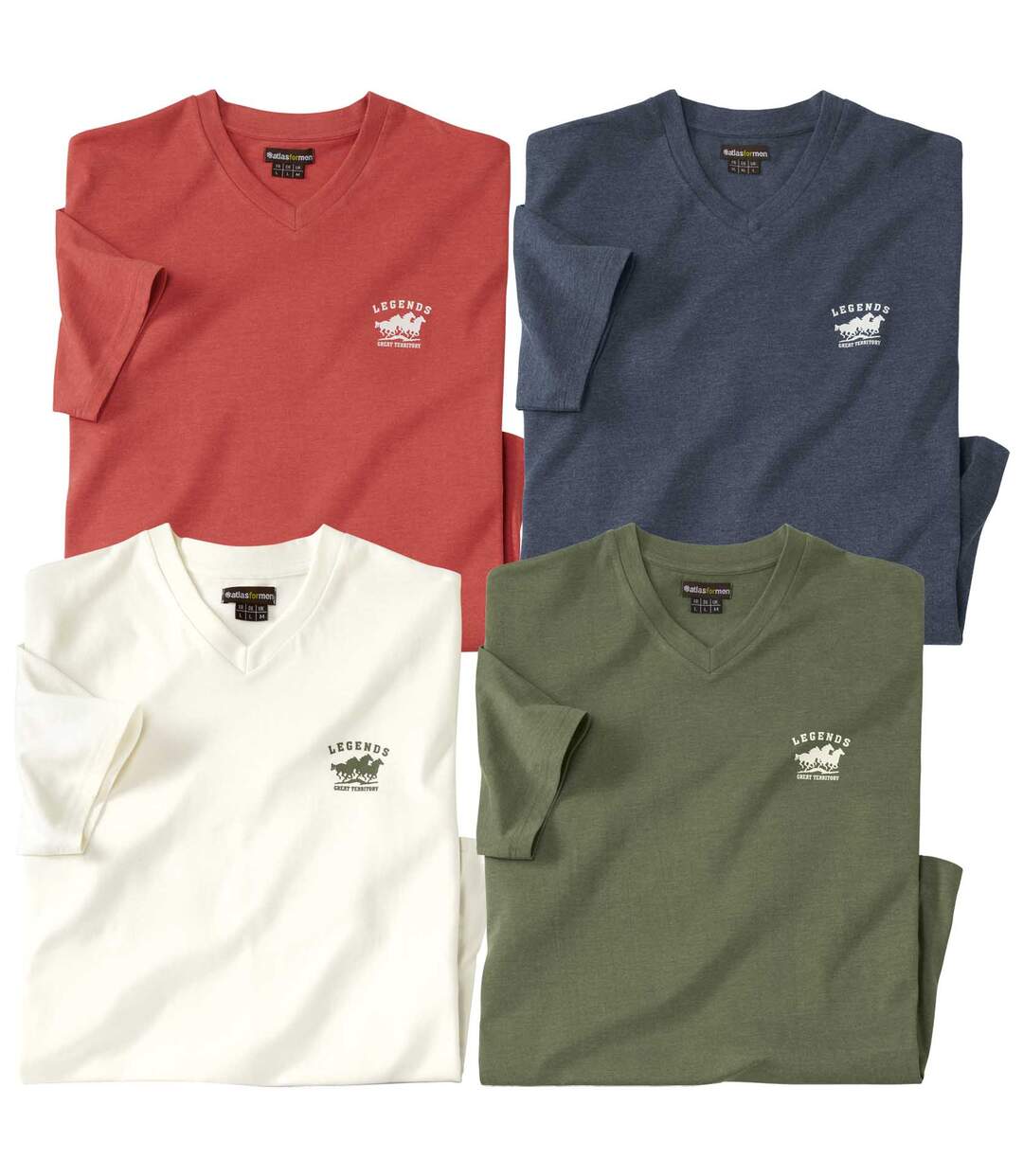 Lot de 4 Tee-Shirts Forest