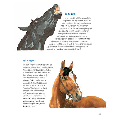 Uitgeverij kluitman alles over paarden