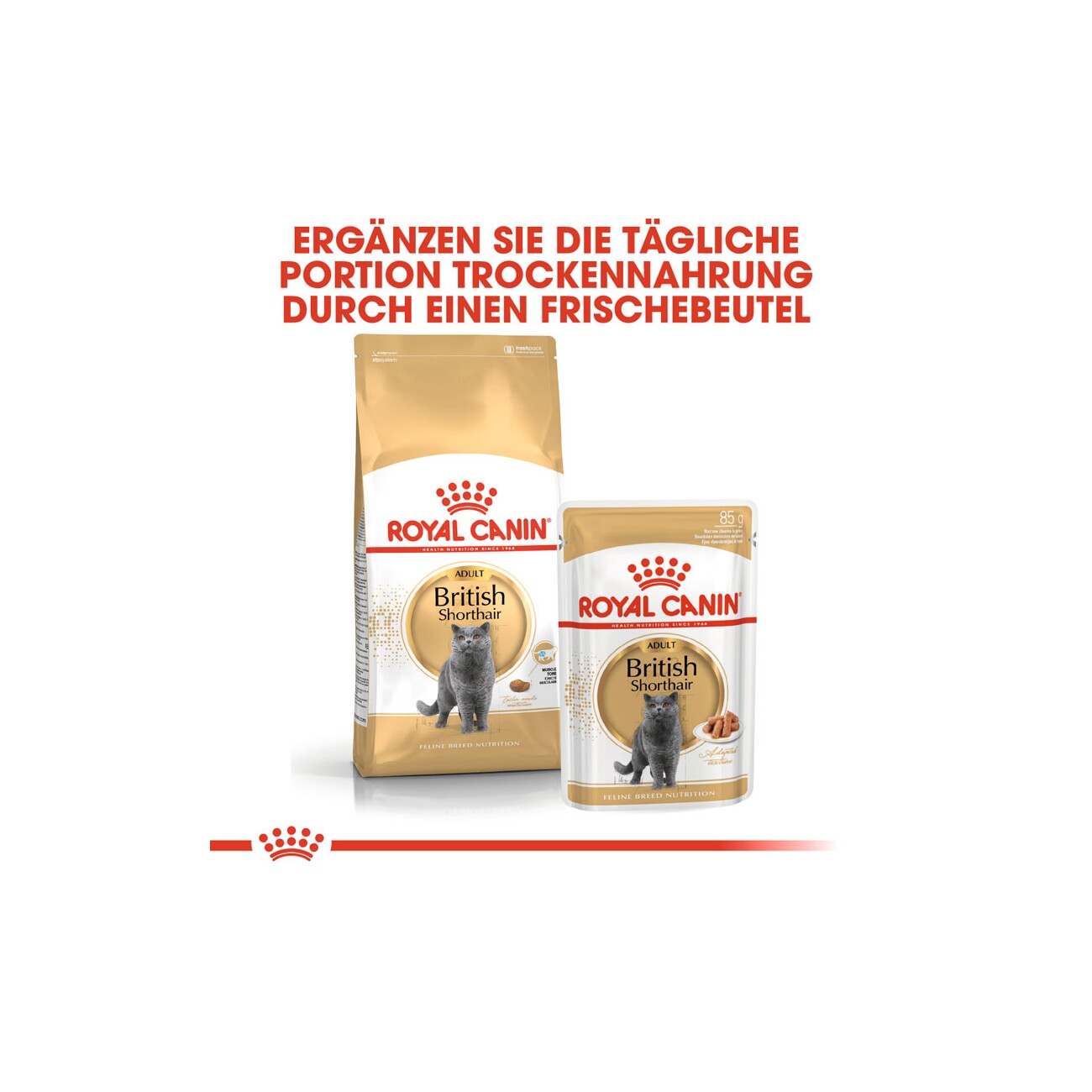 ROYAL CANIN British Shorthair Adult 10 kg