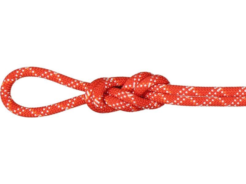 MAMMUT Kletterseil 9.5 Gym Classic Rope 50 m Hallenseil