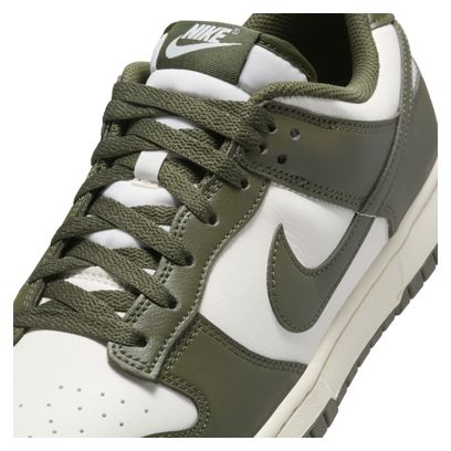 Chaussures Sportswear Nike Dunk Low Retro Beige/Kaki Homme