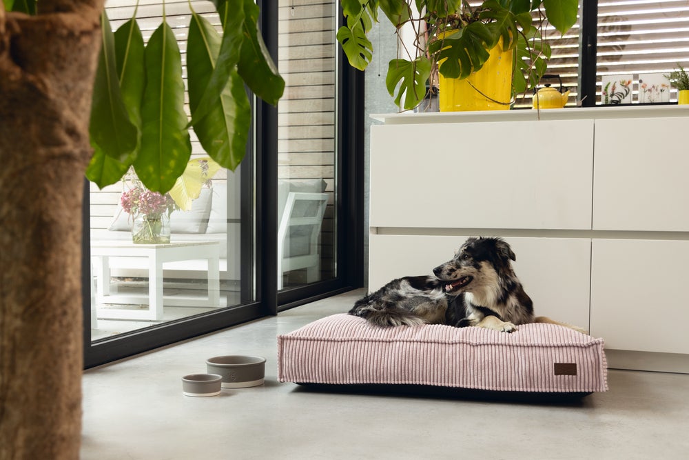 Designed by Lotte hondenkussen Ribbed roze 120 x 80 x 15 cm