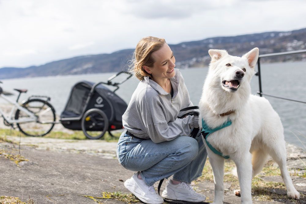 Hamax Pluto L - Hundeanhänger kaufen | Bike-Discount