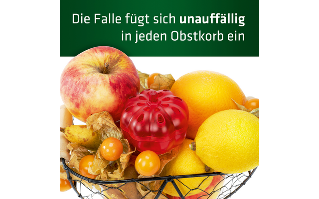 Gardigo Mini Fruchtfliegenfalle 2er Set