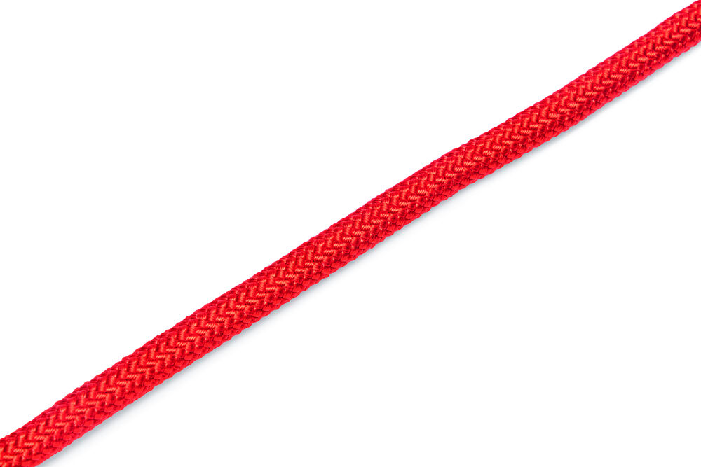 Beeztees Premium Parinca - Hondenriem - rood - Extra small - 1 cm - 120 cm