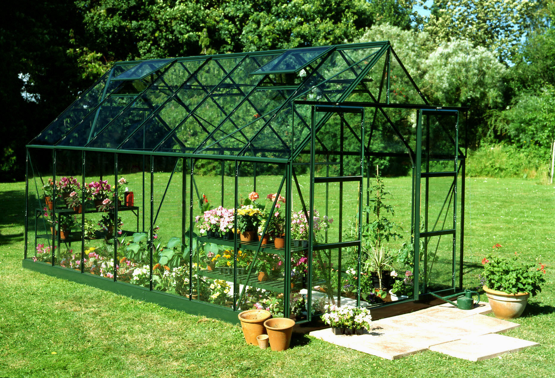 Halls Magnum 148 - Tuinkas - Groen - 258x257x446 cm - Veiligheidsglas