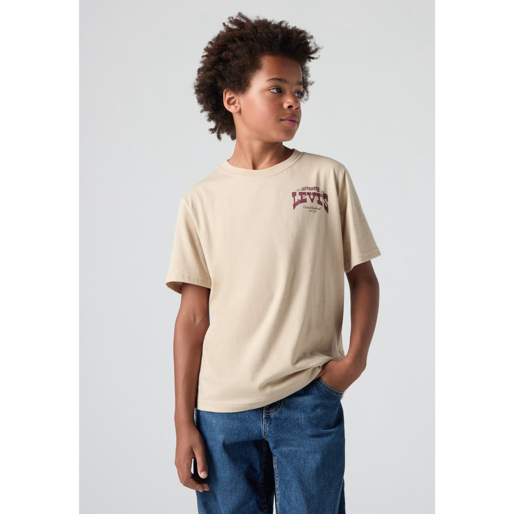 Køb Levi's White Pepper Galloping Free Tee