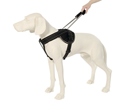 Jockeytuig met geïntegreerde lange lijn, maat M (58-76 cm), zwart