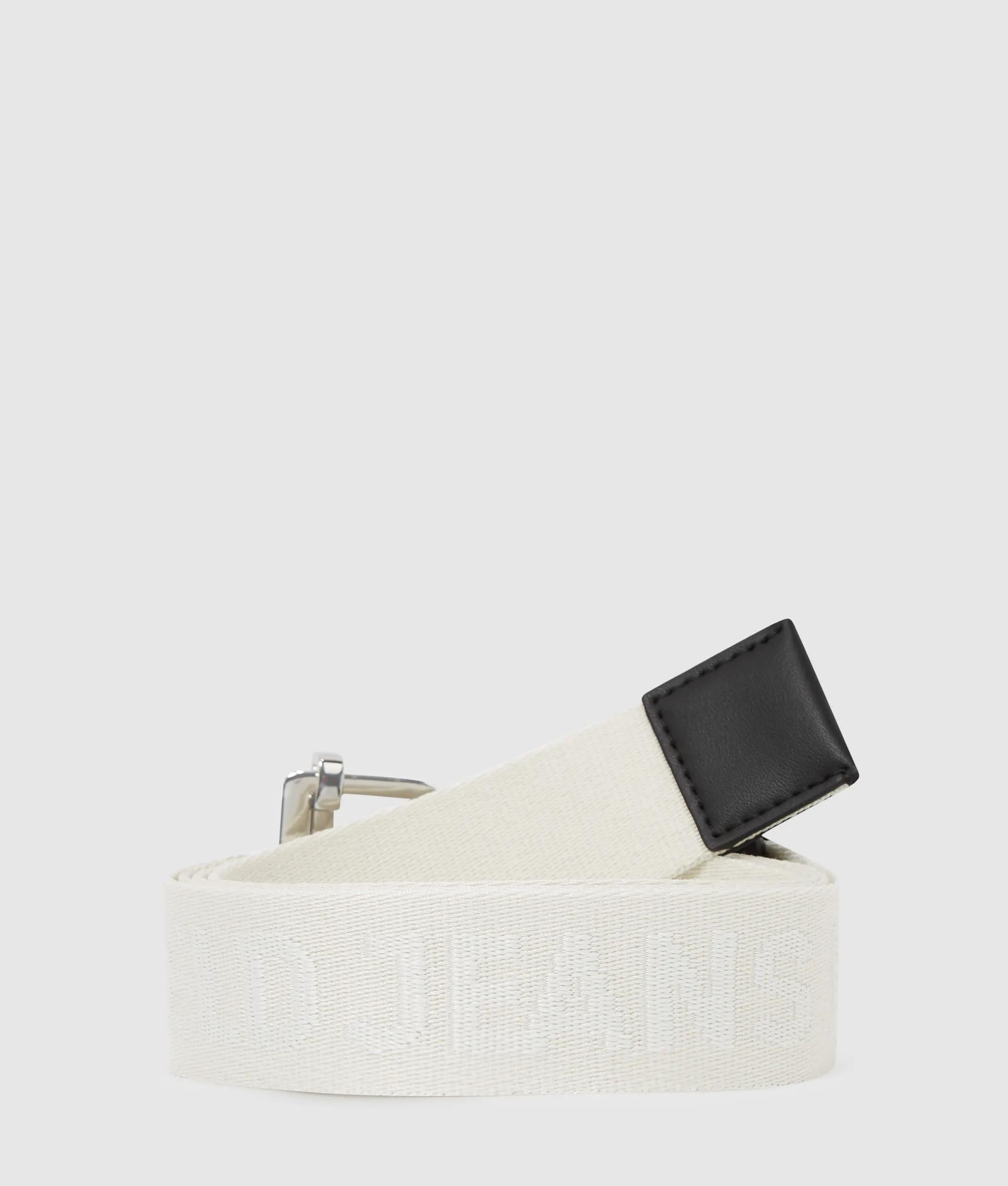 riem met webbinglogo