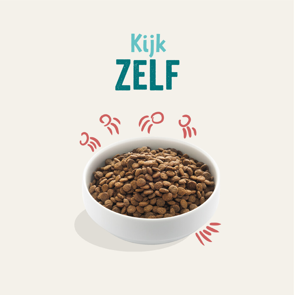 Edgard & Cooper Hondenvoer Senior Scharrelkip - Noorse Zalm12 kg