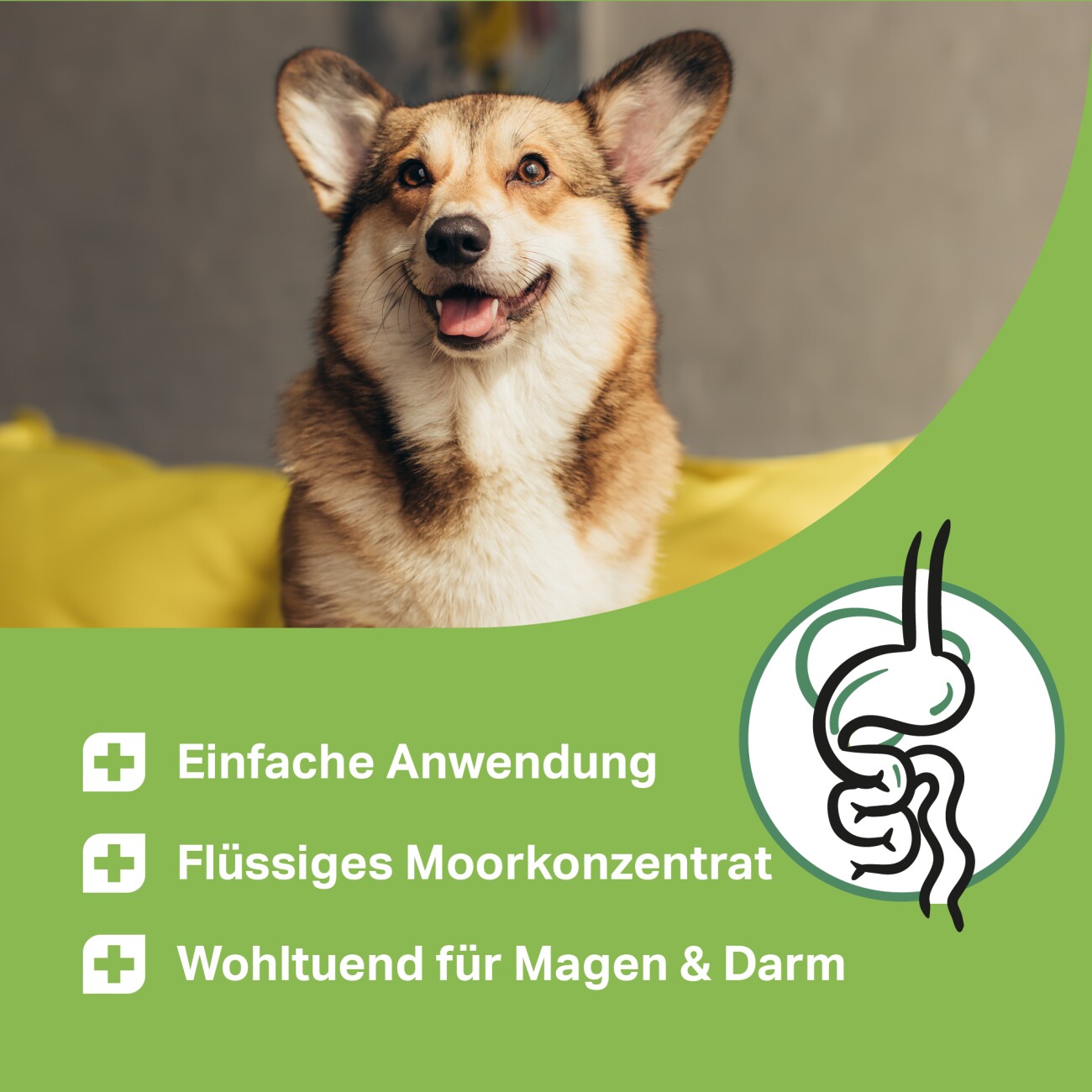 MediDog Heilmoor Konzentrat