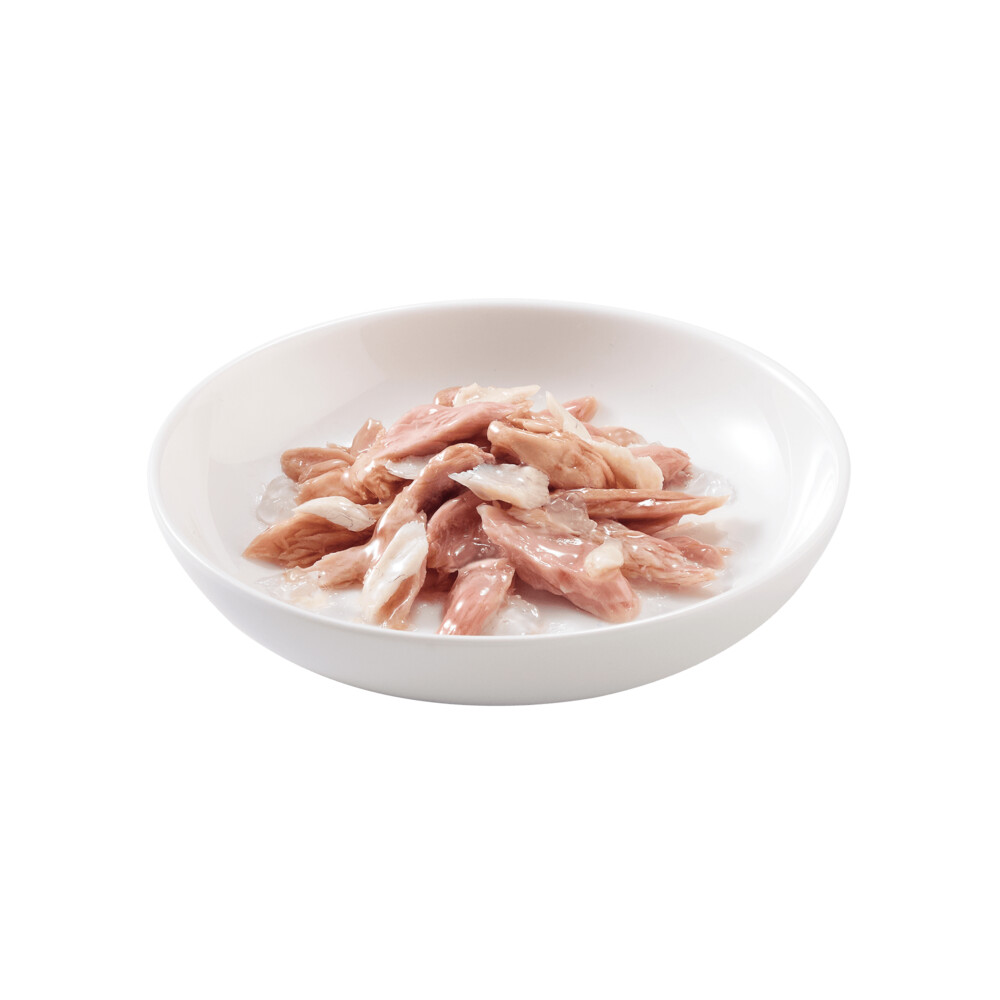 20x Schesir Kattenvoer Tonijn - Zeebaars in Gelei85 gr