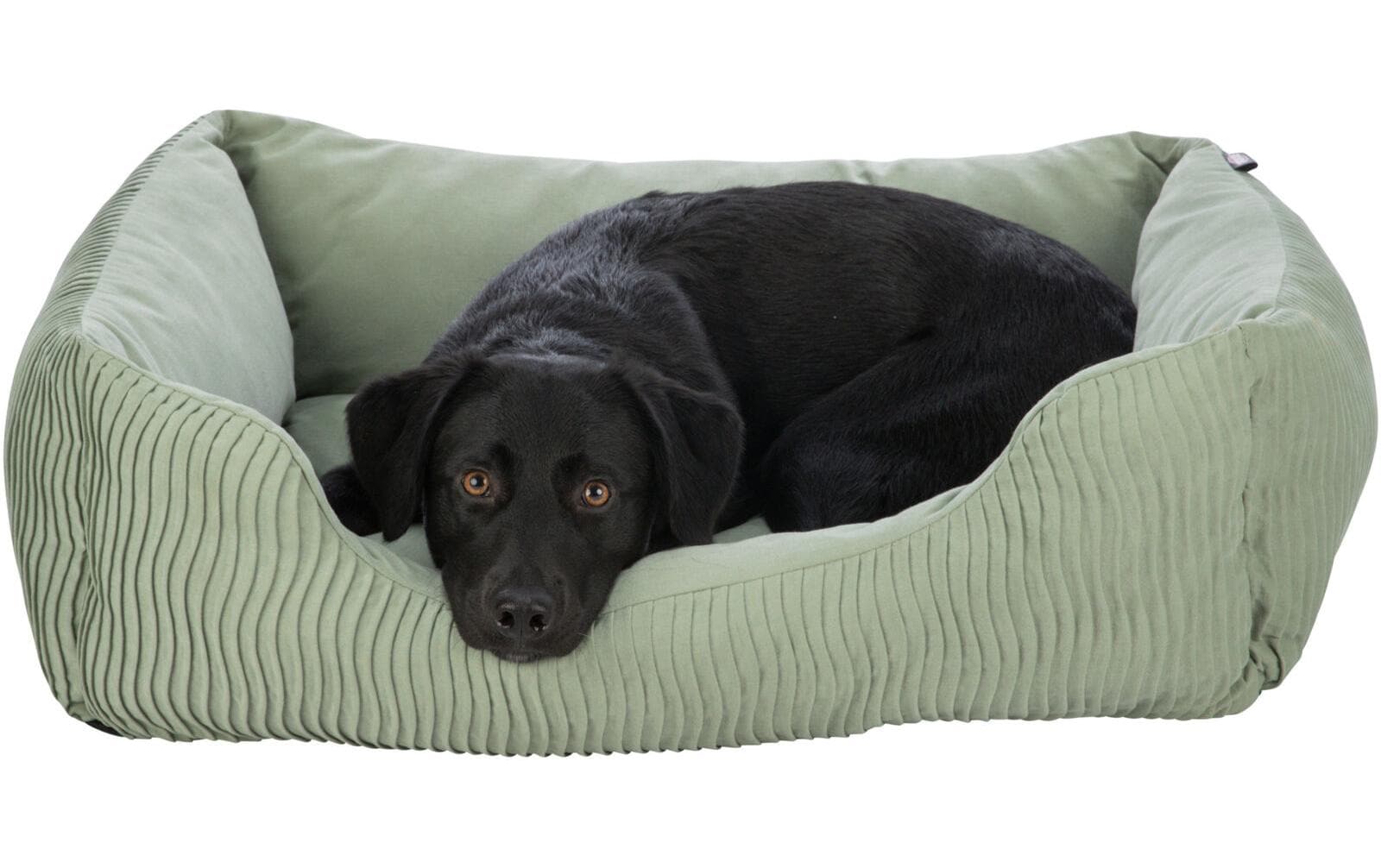 Hunde-Bett Marley, 80 × 60 cm, SalbeiHundebett