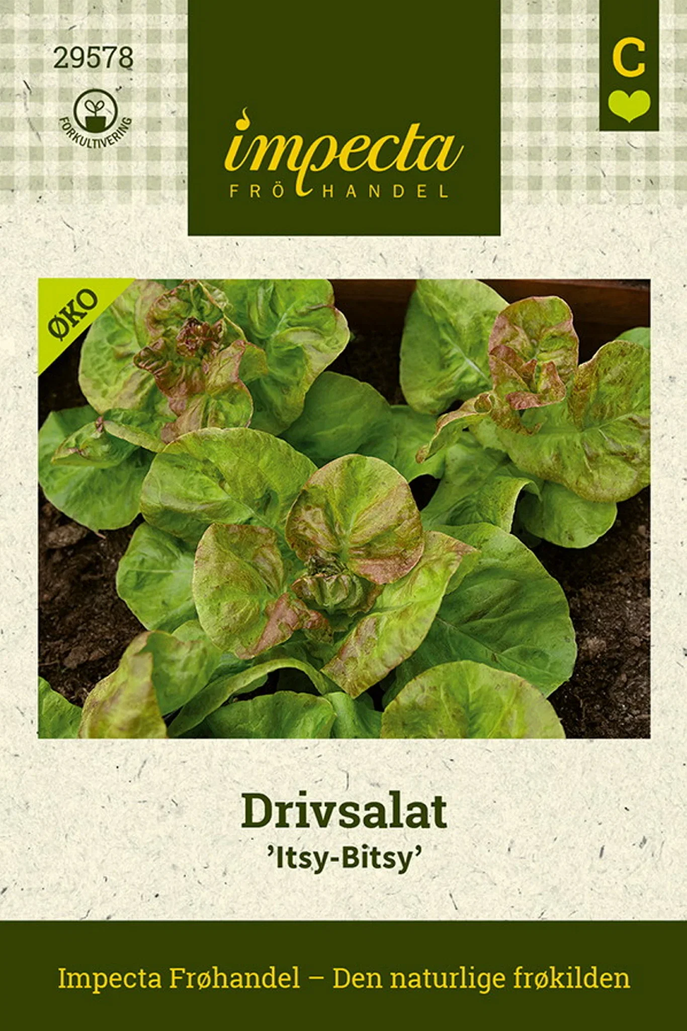 Lactuca sativa 'Itsy-Bitsy' Drivsalat 'Itsy-Bitsy'