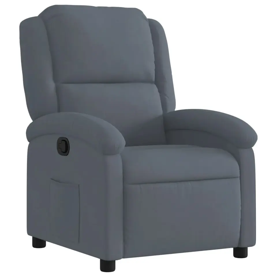vidaXL - Fauteuil - Grijs - Fluweel