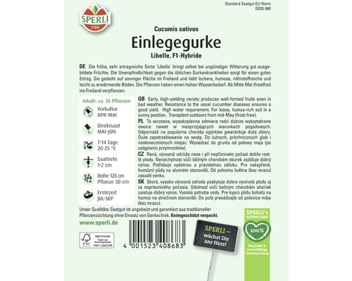 Augurk, komkommer, libel, Sperli hybride zaden, groentezaden