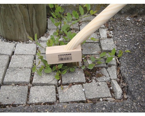 Lessmann onkruidborstel met handvat 2 in 1