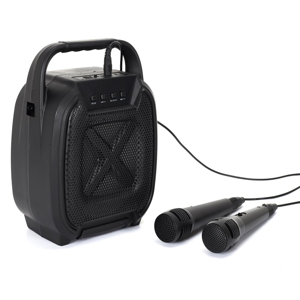 ENCEINTE SANS FIL 8W KARAOKE 2 MICROS INTEGRES