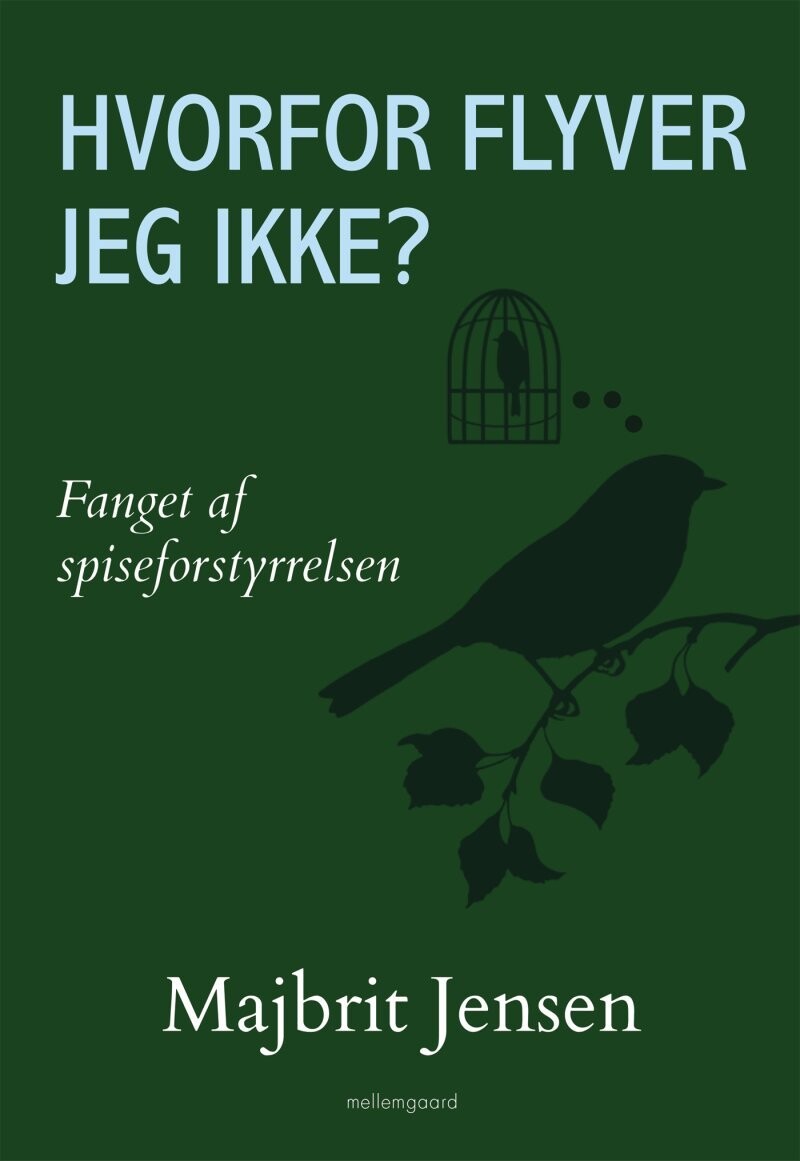 Hvorfor Flyver Jeg Ikke? - Majbrit Jensen - Bog