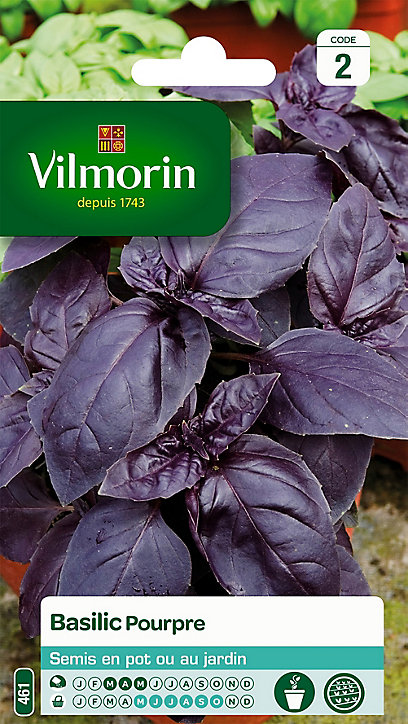 Graines de Basilic Pourpre Vilmorin