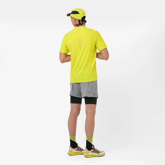SENSE AERO 2IN1  Shorts Herren