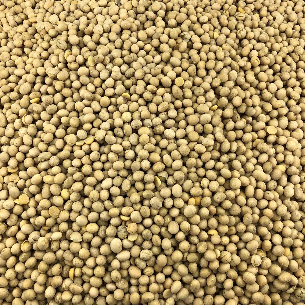 Soja Jaune Bio en Vrac 5kg Vrac Bio