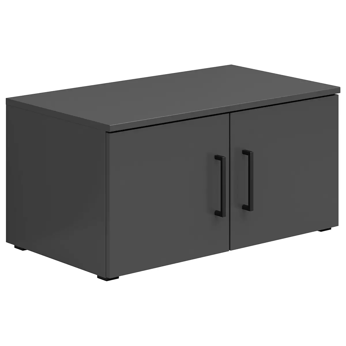 Regal 2T Cabinet Anthrazit