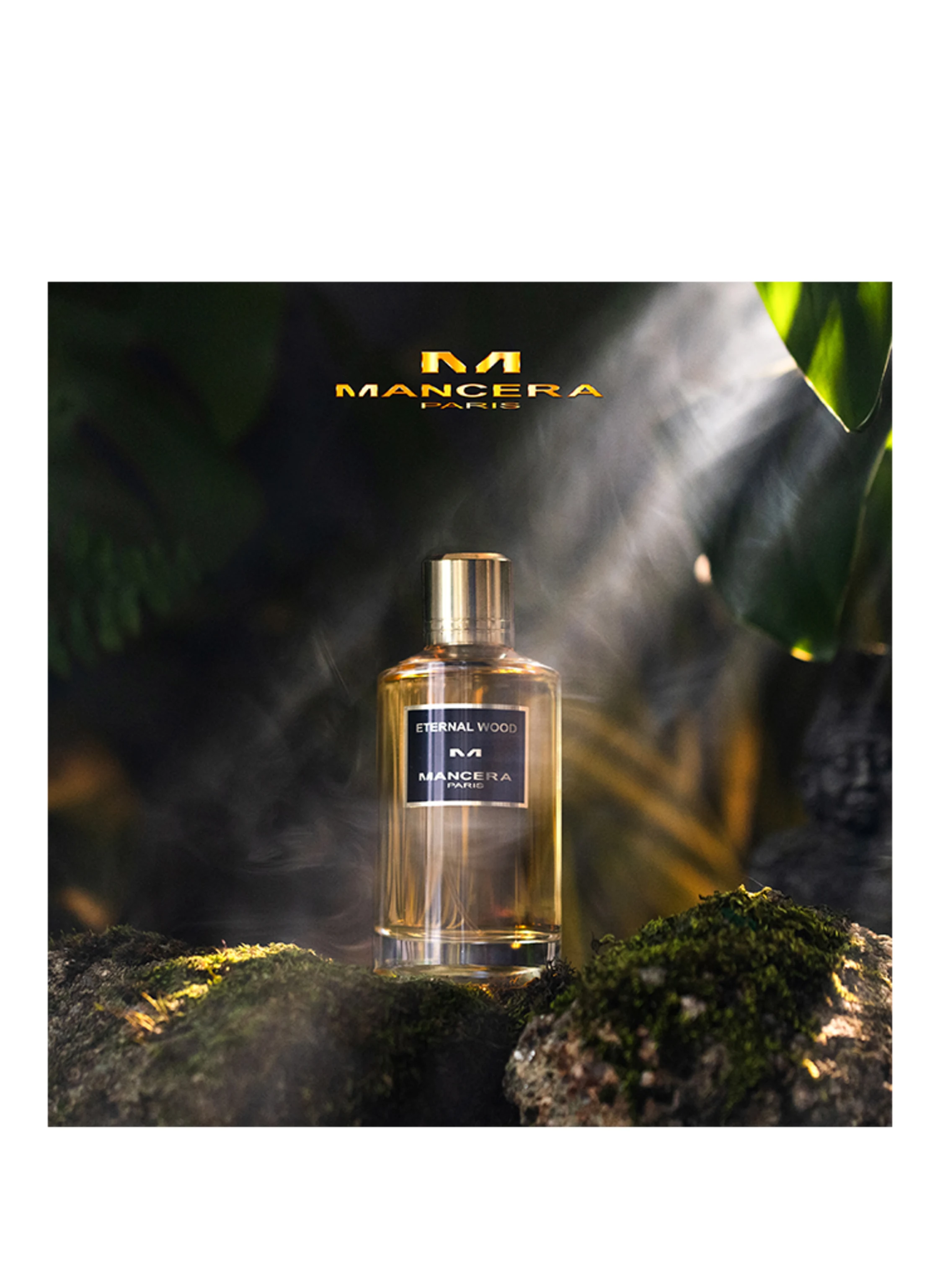 MANCERA ETERNAL WOOD