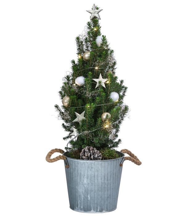 Geschmückter Weihnachtsbaum Linus,