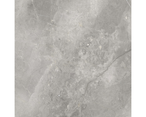 Porseleinen steengoed wand- en vloertegel Lido 119,7 x 119,7 x 0,8 cm Zilver mat gerectificeerd