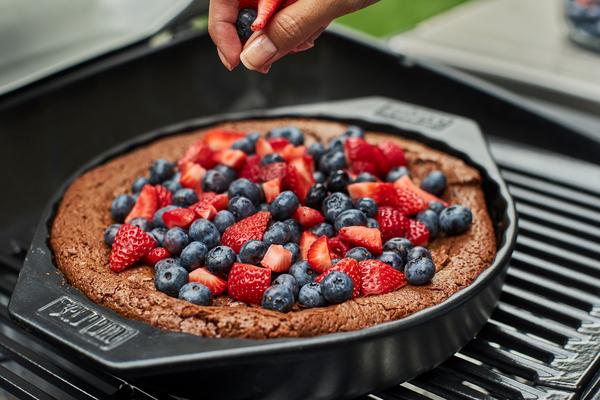 Weber Elektrogrill Pulse 2000 Black