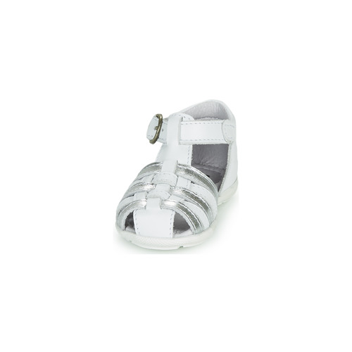 Citrouille et Compagnie - RINE - Blanc / Argent