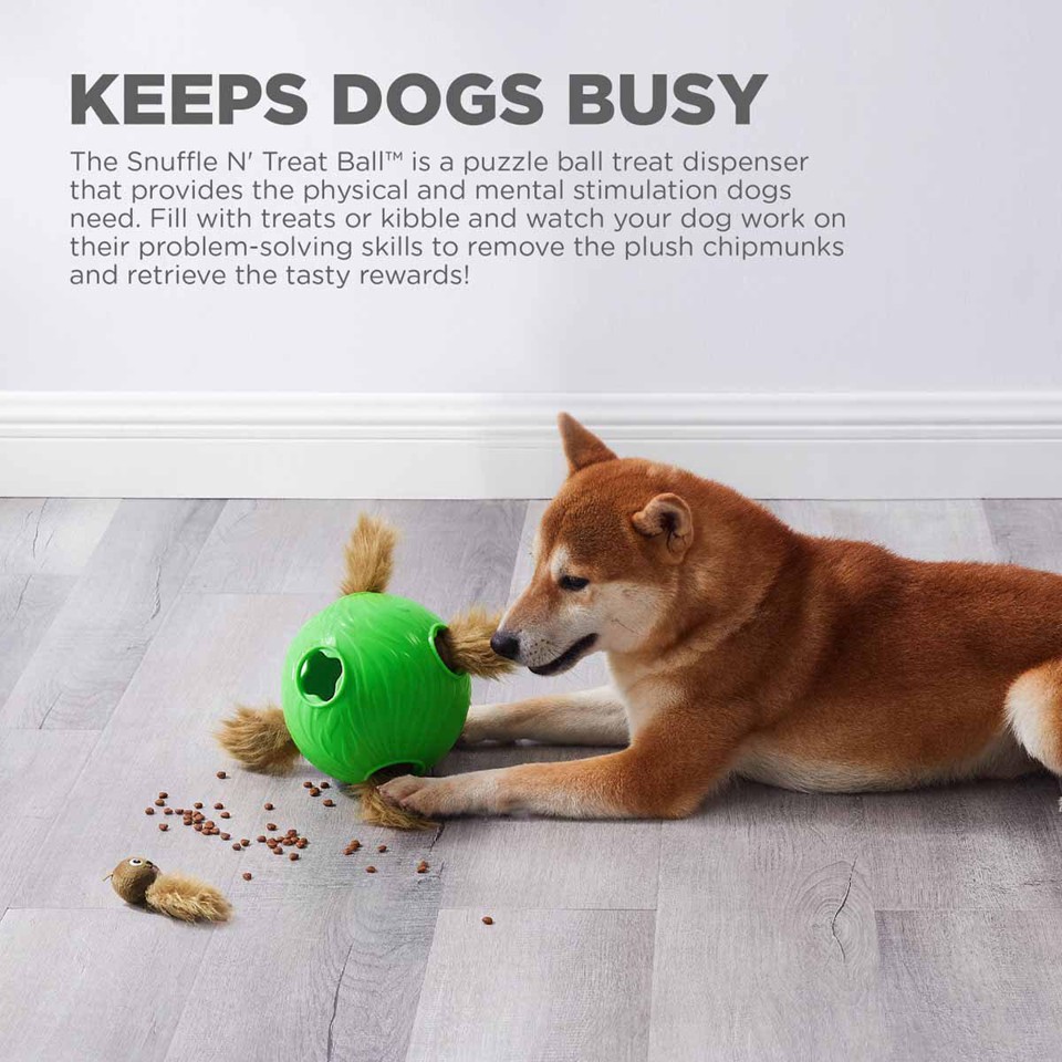 OUTWARD HOUND - Dog Snuffle N' Treat Ball